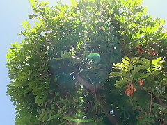 Fabulous Japanese model Haley Cummings in Hottest big natural tits, pov JAV video