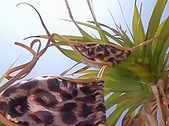 Best Japanese model Ria Sakurai in Horny Big Tits, Solo Girl JAV scene