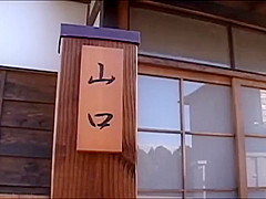 Busty Wife Crazy For A Fuck