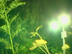 Crazy Japanese girl Mirei Yokoyama, Tsubomi, Cocomi Naruse in Best Fingering, Squirting JAV video