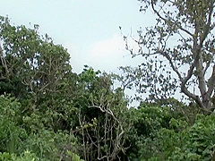 Exotic Japanese chick in Best Beach, Outdoor JAV scene