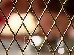 Exotic Japanese chick in Crazy Amateur, Big Tits JAV video