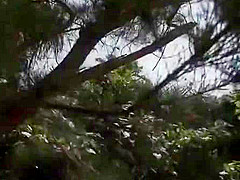 Exotic Japanese chick Wakana Kinoshita in Hottest Beach, Couple JAV movie