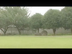 Incredible Japanese chick Saya Hayasaki in Fabulous Public, Facial JAV clip