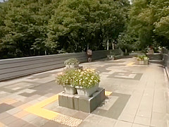 Excellent sex video Japanese exotic , take a look