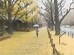 Fabulous Japanese whore in Exotic Sports, POV JAV video