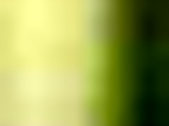 Japan BBW MVG-017 – Smoothing Head