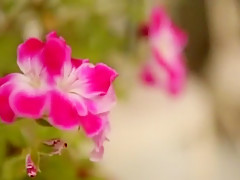 Amazing Japanese model Mei Kago in Hottest Close-up, Squirting JAV movie