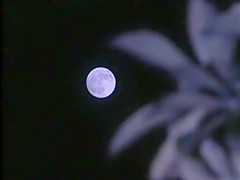 Crazy Japanese chick Mai Kitamura in Incredible Blowjob, 3D Toons JAV video