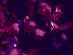 Crazy Japanese chicks Honami Takasaka, Miku Abeno, Nanase Otoha, Yui Hatano in Best JAV censored Swallow, Hairy movie