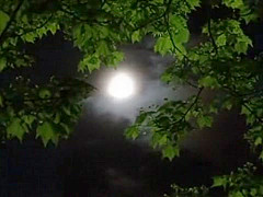 Exotic Japanese girl Yayoi Yanagida, Saki Hatsuki in Fabulous Striptease, Masturbation JAV video