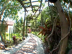 Horny Japanese slut Risa Coda in Hottest Striptease, Public JAV scene