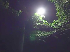 Incredible Japanese slut Shinobu Kasagi in Horny Compilation JAV movie