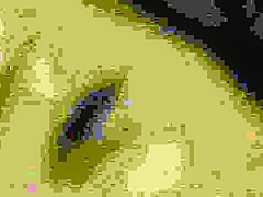 Rina Yuki Uncensored Hardcore Video with Swallow, Fetish scenes