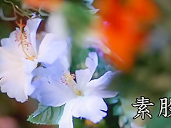 Amazing Japanese slut Yuka Minase in Crazy Dildos/Toys, Blowjob JAV video