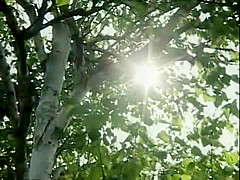 Amazing Japanese whore in Best Big Tits, Nipples JAV scene