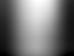 돼지님 보세요1