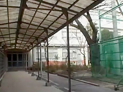 Exotic Japanese chick Ami Morikawa, Mahiro Aine, Ribon Satsuki in Fabulous Changing Room, Blowjob/Fera JAV clip