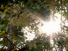 Hottest Japanese chick Risa Tsukino in Best Vintage JAV video