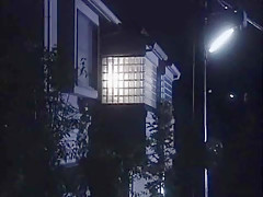 Exotic Japanese model Emi Kitagawa in Crazy Cunnilingus JAV video