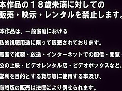 Exotic Japanese whore Akane Hotaru in Incredible Blowjob, Interracial JAV clip