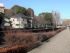 Fabulous Japanese whore in Best HD, Voyeur JAV movie