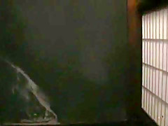 Horny Japanese slut in Crazy Upskirts/Panchira JAV video