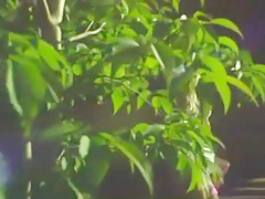 Incredible Japanese girl Runa Anzai, Kairi Uehara in Amazing Lingerie, Big Tits JAV scene