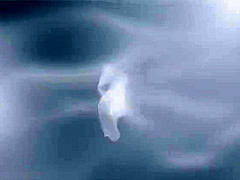 Japanese Tutor Tries To Tame A Black Anaconda