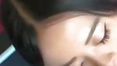 Asian pet blowing