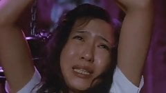Beautiful Girl Hunter (1979) DR3