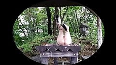 Leopardess Hunting in the Japanese Woods