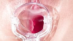 Makoto Shiraishi :: Pussy Encyclopedia 2 – CARIBBEANCOM