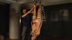 Race queen in bondage