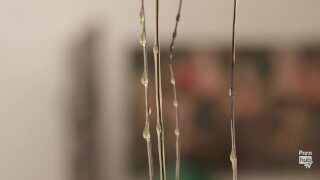 The Pleasure Principle Art Exhibit – A Walkthrough with Asa Akira