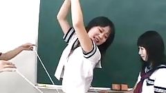 Two pets and play of a mistress